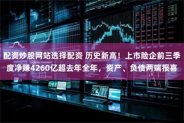 配资炒股网站选择配资 历史新高!上市险企前三季度净赚4260亿超去年全年,资产、负债两端报喜