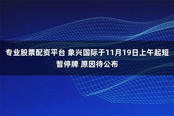 专业股票配资平台 象兴国际于11月19日上午起短暂停牌 原因待公布