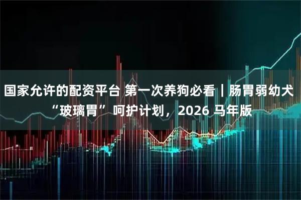 国家允许的配资平台 第一次养狗必看｜肠胃弱幼犬 “玻璃胃” 呵护计划，2026 马年版