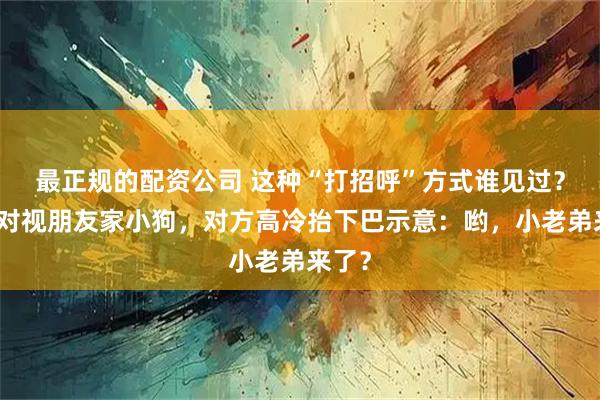 最正规的配资公司 这种“打招呼”方式谁见过？男子对视朋友家小狗，对方高冷抬下巴示意：哟，小老弟来了？